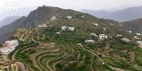 Asir’s Mountain Terraces Emerge as Saudi Arabia’s Coffee Hub